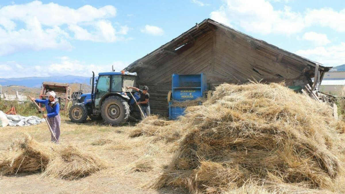 Ordu’da atıl araziler tarıma açıldı