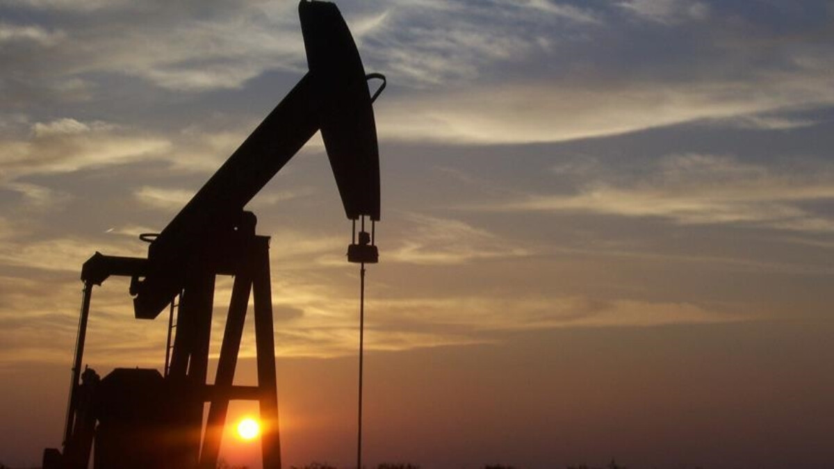 TPAO’ya Şanlıurfa, Erzurum, Şırnak ve Mardin’de çalışma yapması için petrol arama ruhsatı